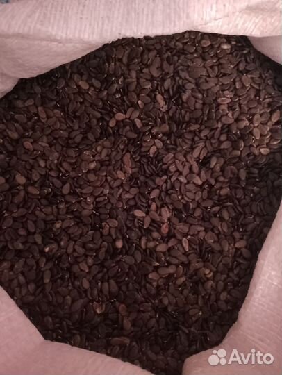 Семена Арбуза