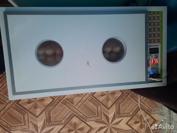 Инкубатор б/у