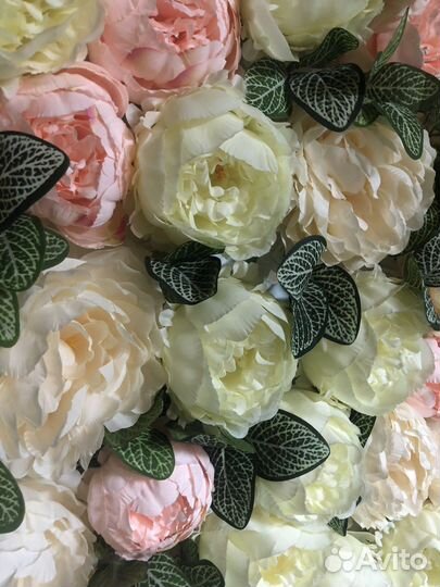 Аренда фотозоны