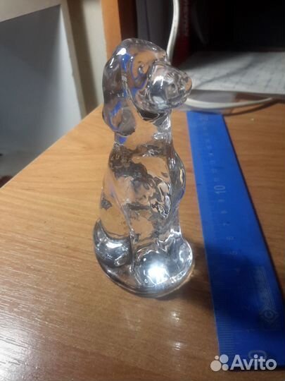 Собака, хрусталь