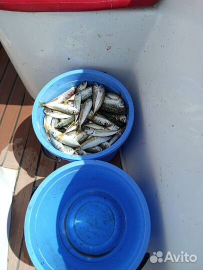 Рыбалка со снастями