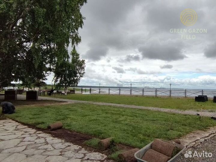 Рулонный газон спортивный от поля