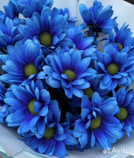 Букет из кустовых хризантем