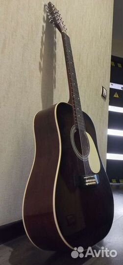 Двенадцатиструнная гитара