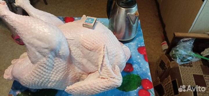 Индюшиное мясо домашнее