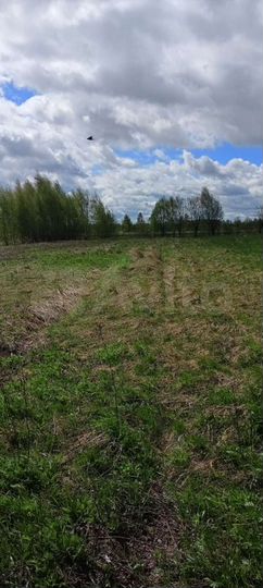 Участок 5 сот. (ИЖС)