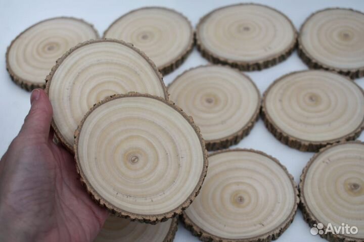 Спилы дерева