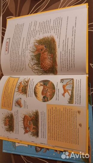 Детские книги новые