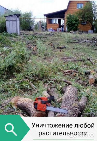 Расчистка. Полная уборка вашего участка под ключ