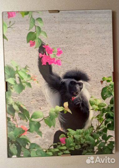 Фото-рамка стекло 15х20 с фотографией