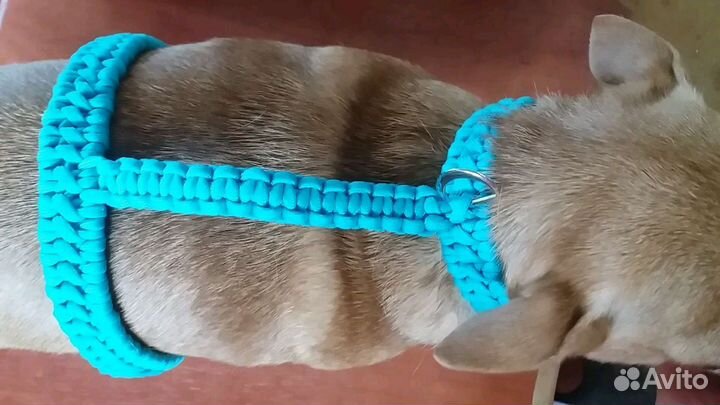 Шлейка для собак,кошек,хорьков