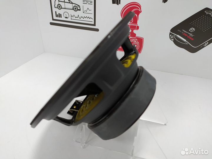 Эстрадный динамик Dynamic State custom CM-16.1v2