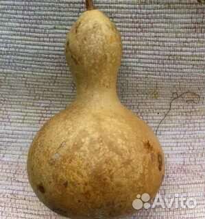 Тыква Лагенария