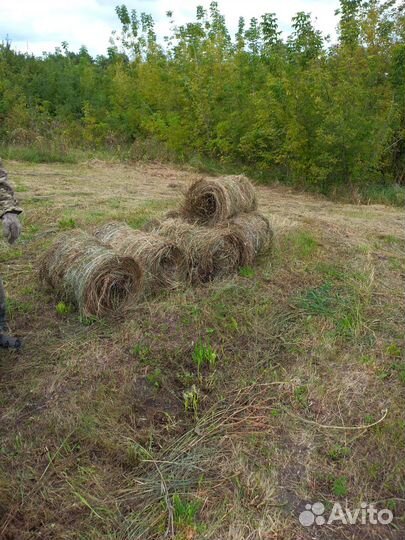 Сено в тюках