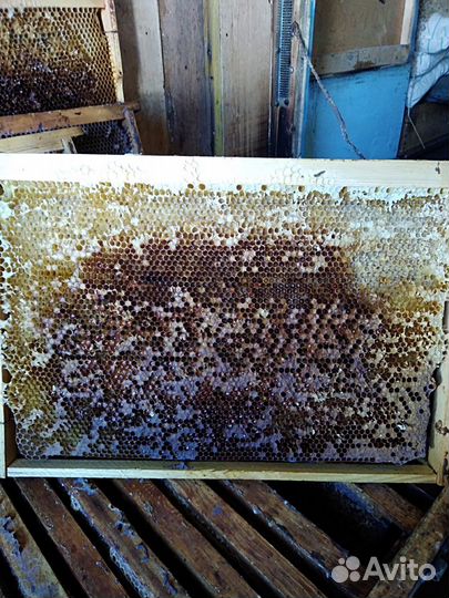 Продам сушь для пчёл