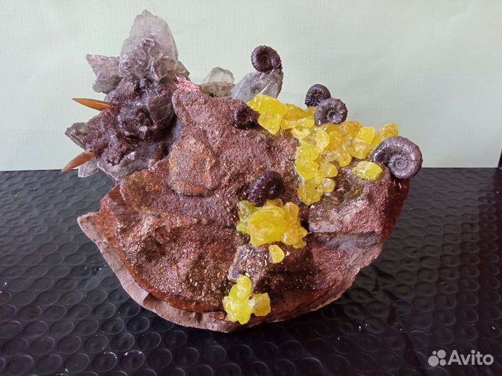 Окаменелости минералы