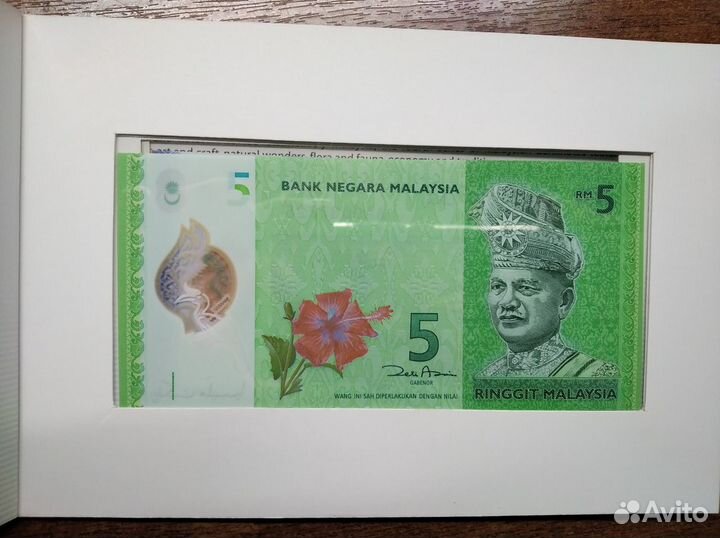 Папка с банкнотами Малайзия