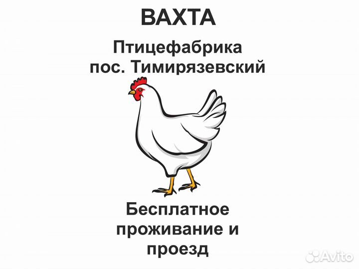 Вахта. Разнорабочие М/Ж