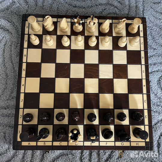 Шахматы
