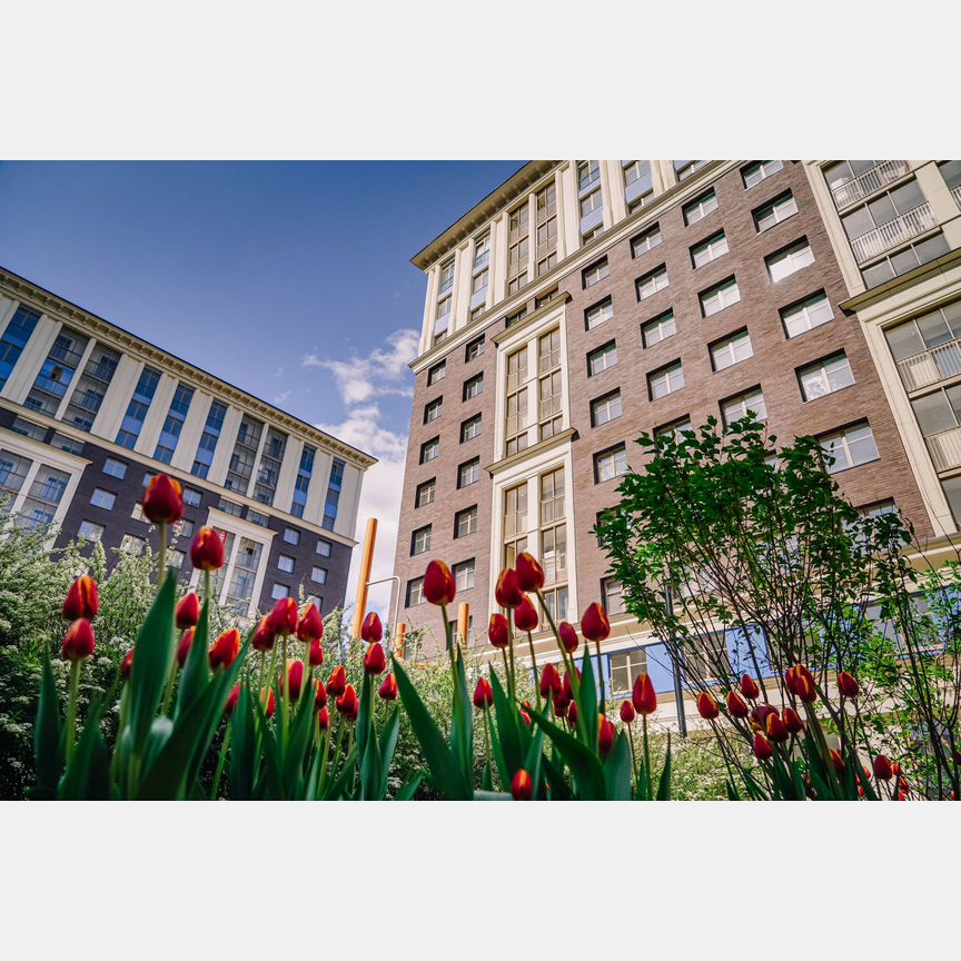 3-к. квартира, 103,9 м², 5/12 эт.