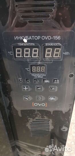 Инкубатор OVO 156