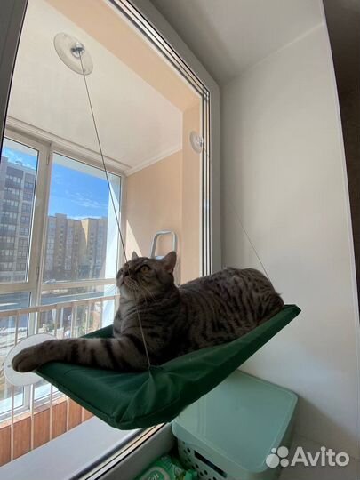 Гамак для кошек на окно лежанка для кота новая