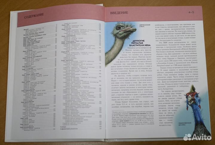 Птицы. Полная энциклопедия. Для детей