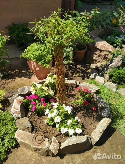 Плетеные деревья из ивы