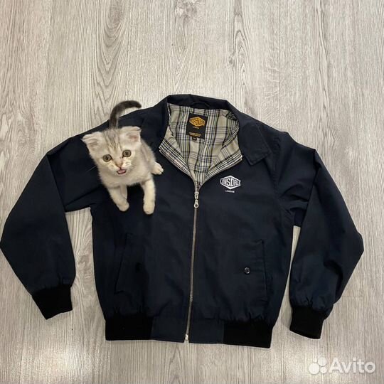 Харрингтон lonsdale