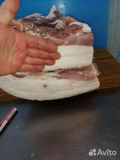 Сало соленое