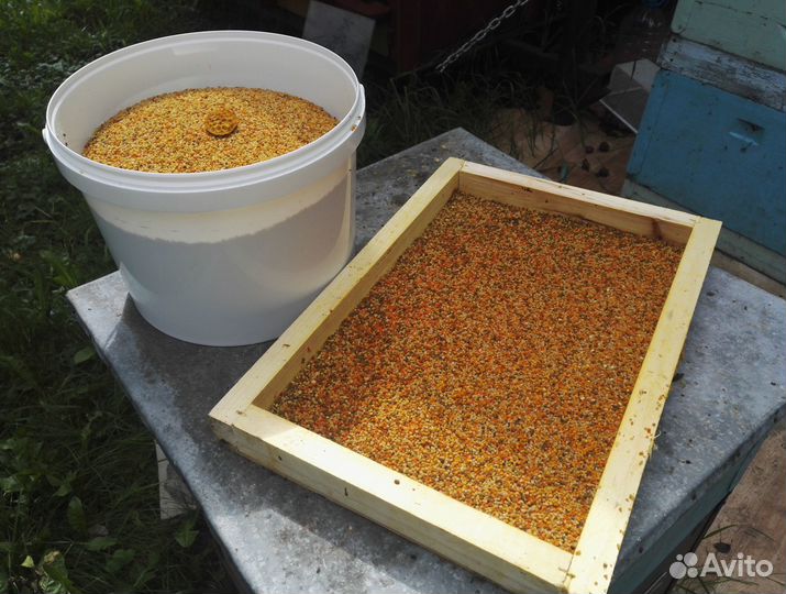 Обслуживание вашей пасеки пчеловод