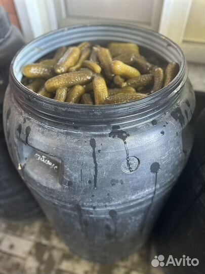 Огурцы соленые бочковые
