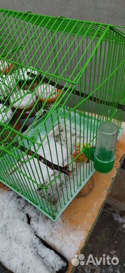 Клетка для птиц бу