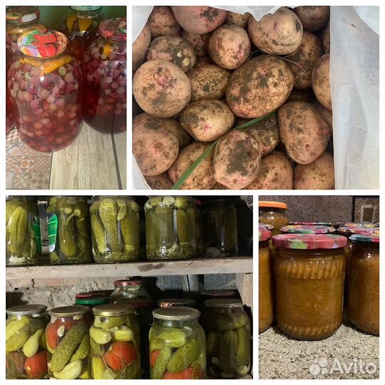 Кабачковая икра, очень вкусная На костре