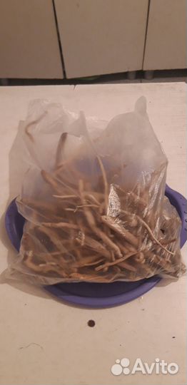 Дрифтвуд, коряжки с моря