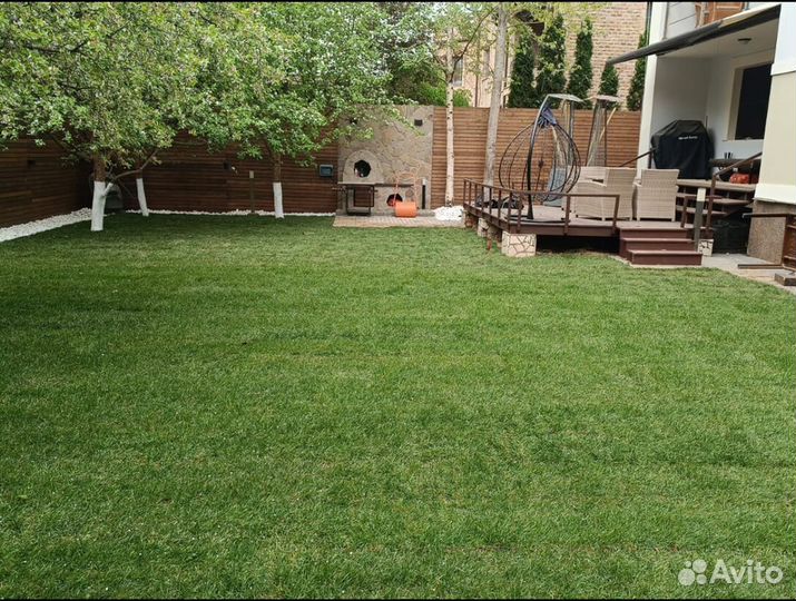 Рулонный газон доставка спортивный