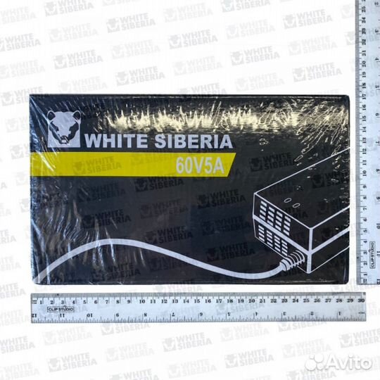 Быстрая WS Зарядка 60V5Ah для citycoco (акб литий)