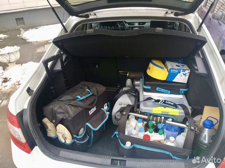 Уничтожение клопов, тараканов. Дезинфекция