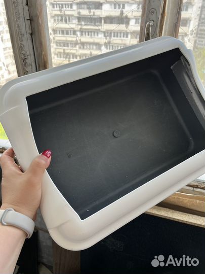 Лоток для котят