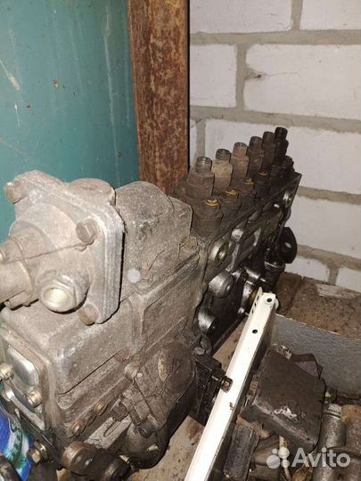 Тнвд шакман