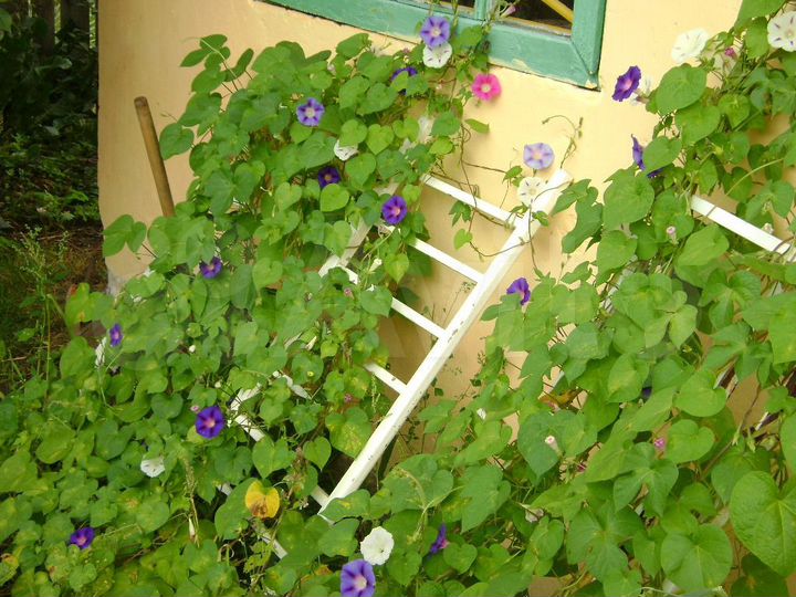 Дача 20 м² на участке 6 сот.