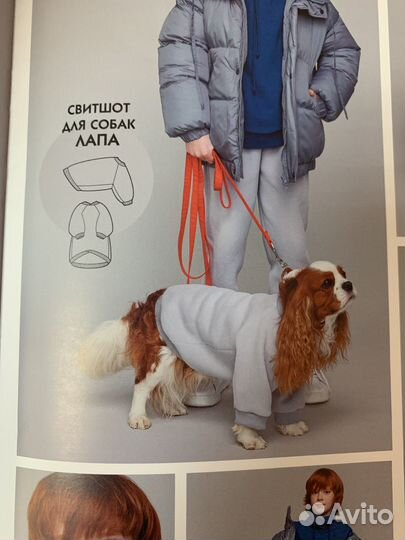 Свитшот худи толстовка для собаки