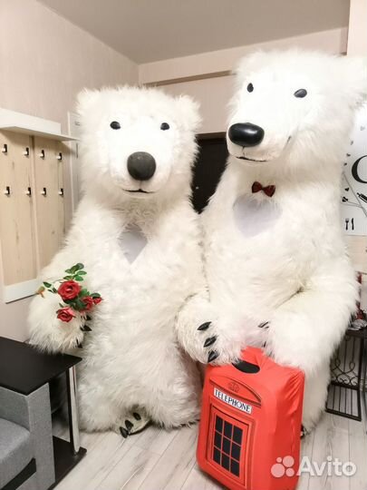 Детская анимация и белый мишка