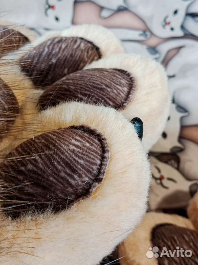 Фурчатки трехцветные