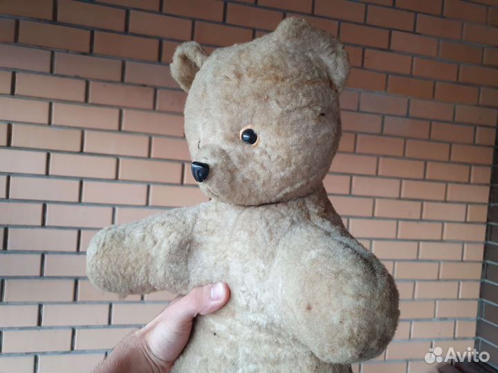 Медведь из опилок 1950 год