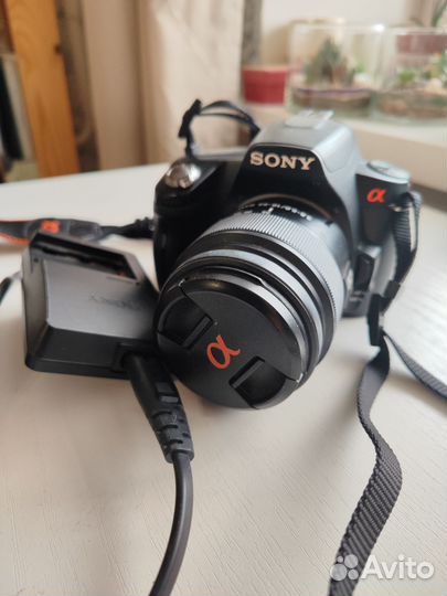 Фотоаппарат Sony Alpha dslr-A290 Kit