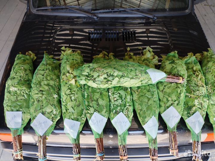 Веники для бани берёза, дуб, липа, пихта