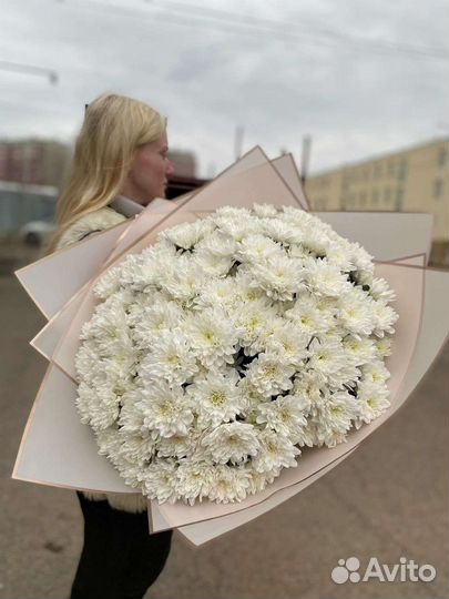 Хризантема кустовая