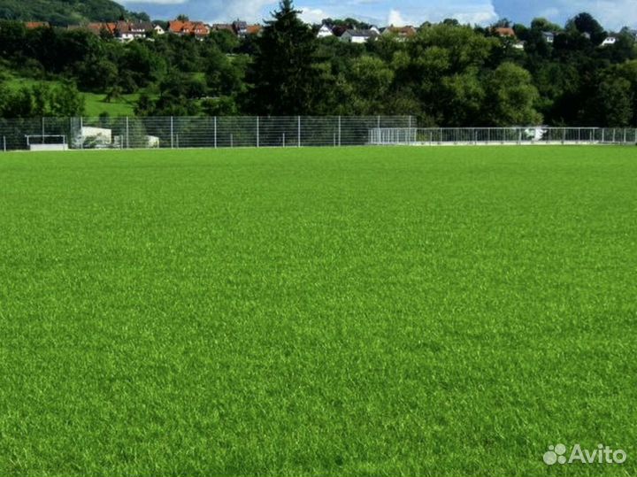 Семена газонной травы спорт