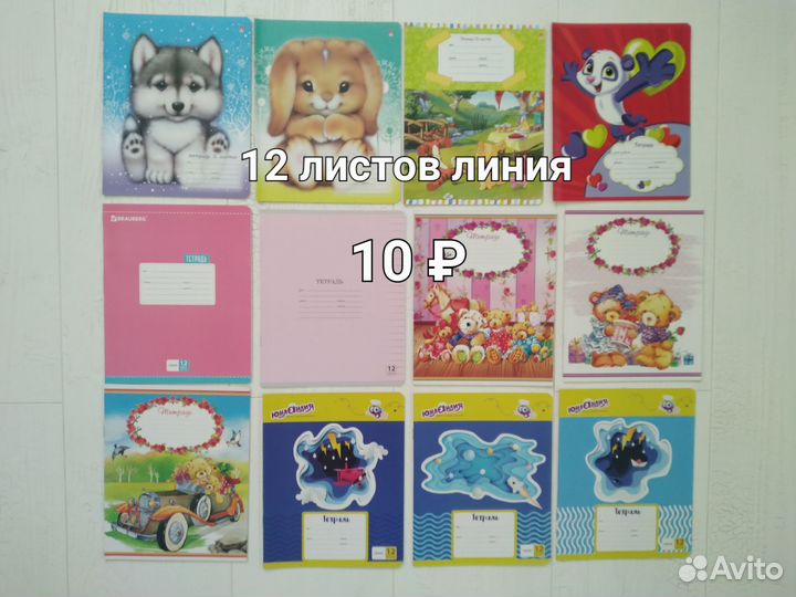 Тетради 12 л любая линия